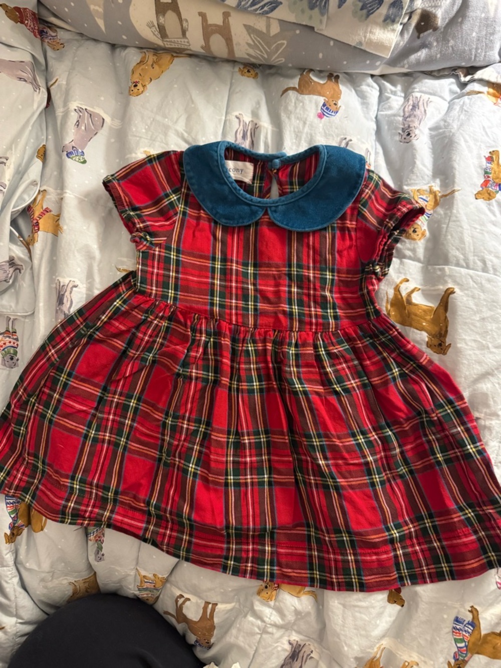 Petit Peony dress size 2